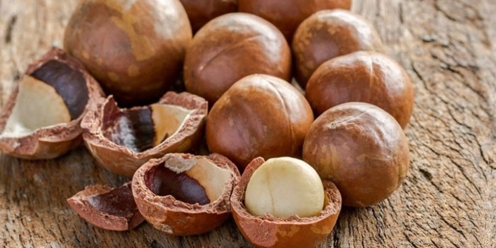 Макадамия - что это такое, полезные свойства ореха и его масла, использование в кулинарии и косметологии