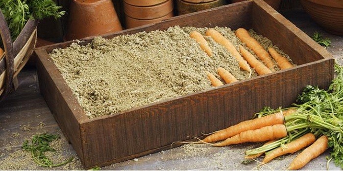 Как хранить морковь зимой в погребе: правильные условия для корнеплода