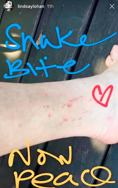 Линдси Лохан укусила змея во время отдыха в Таиланде