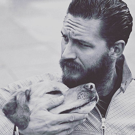 Том Харди спас бездомных щенков от гибели