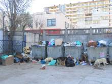 Расчлененный труп женщины в мусорном пакете нашли в Перми