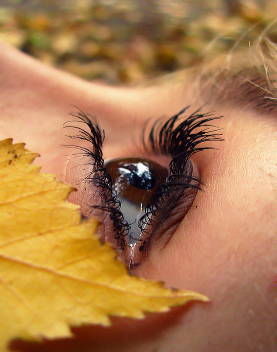 Макияж карих глаз