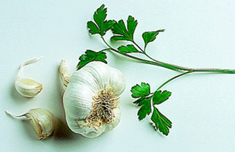 Лечение чесноком: известные и неизвестные рецепты народной мудрости
