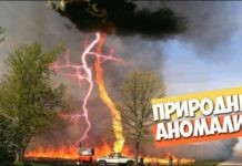 Необычные факты и явления