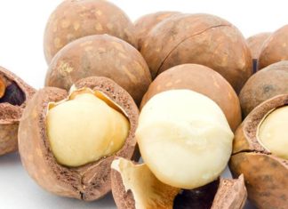 Макадамия — что это такое, полезные свойства ореха и его масла, использование в кулинарии и косметологии