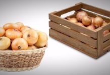 Как хранить лук зимой в городской квартире или погребе — выбор сорта, правильные условия и температура
