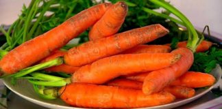 Как хранить морковь зимой в погребе: правильные условия для корнеплода