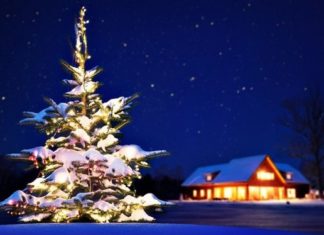 Чемоданное настроение: куда поехать на зимние каникулы?