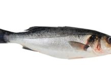 Сибас — полезные свойства рыбы и калорийность, рецепты приготовления блюд на сковороде и в духовке