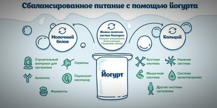 Натуральный йогурт - полезные свойства, как приготовить в домашних условиях в йогуртнице, термосе или кастрюле