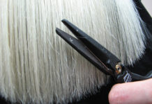 Что нужно знать о стрижке горячими ножницами