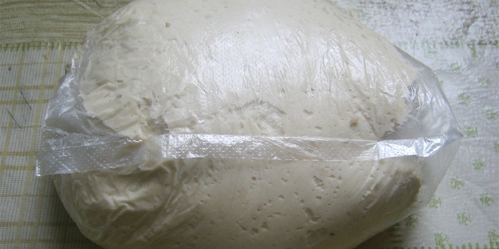 Дрожжевое тесто в холодильнике - что такое холодное брожение и пошаговые рецепты приготовления с фото