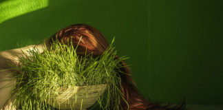 Еда по правилам и без