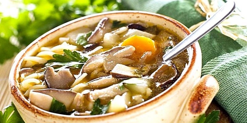 Суп из вешенок - как вкусно и быстро приготовить первое блюдо в домашних условиях по пошаговым рецептам с фото