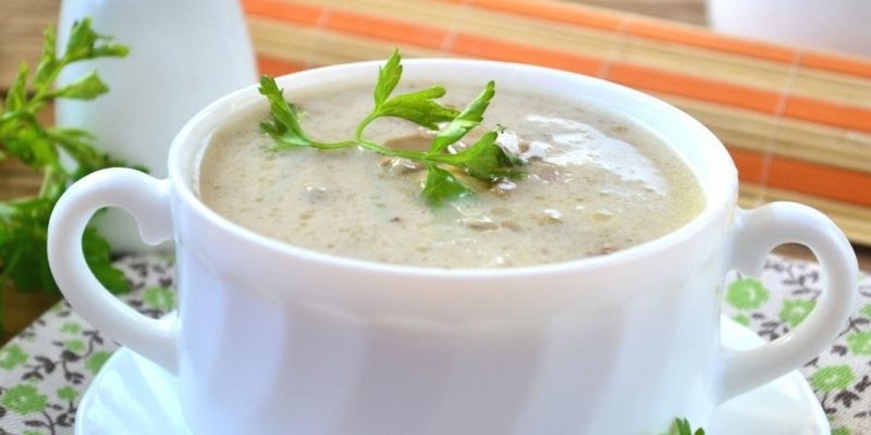 Суп из вешенок - как вкусно и быстро приготовить первое блюдо в домашних условиях по пошаговым рецептам с фото