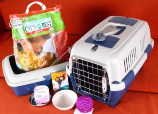 Что купить котенку прежде всего