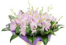 8 секретов дизайна красивых цветочных композиций