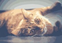 Кошачьи лакомства