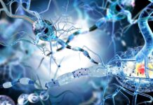 Виды нарушения памяти