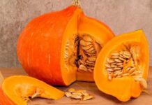 Тыквенное масло: сферы применения