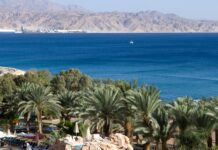 Особенности туров на курорт Эйлат: отдых в 2022 году