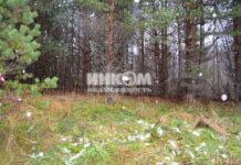 Продажа земельного участка: на что обратить внимание