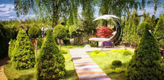 Дизайнерское озеленение территории: красиво и полезно