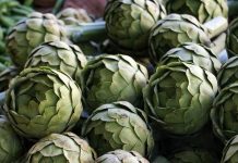 Артишок: что за овощ