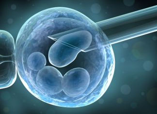 Экстракорполярное оплодотворение: для кого подходит