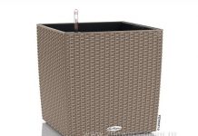 Кашпо Лечуза: разнообразие моделей