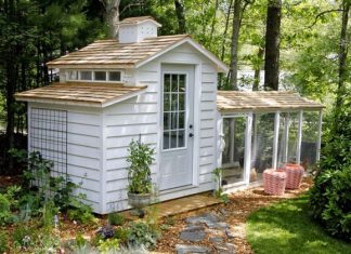 Как построить качественный курятник: руководство по строительству