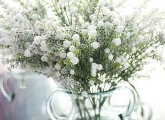 Букет из гипосфил: красота и эффектность этих цветов