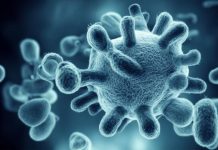 Бактериальные инфекции у женщин: как защитить и обезопасить интимную зону