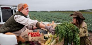 Фермерские продукты для ресторанов: ассортимент и доставка