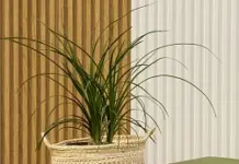 Цветы в интерьере квартиры: декоративно-лиственные или цветущие растения?