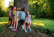 Летний бизнес-лагерь для детей: мир новых возможностей