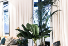 Озеленение квартиры с помощью профессионалов: этапы и преимущества